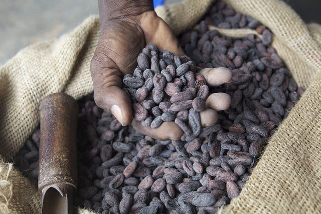 Ethical, Fair Trade & Organic Chocolate Guide