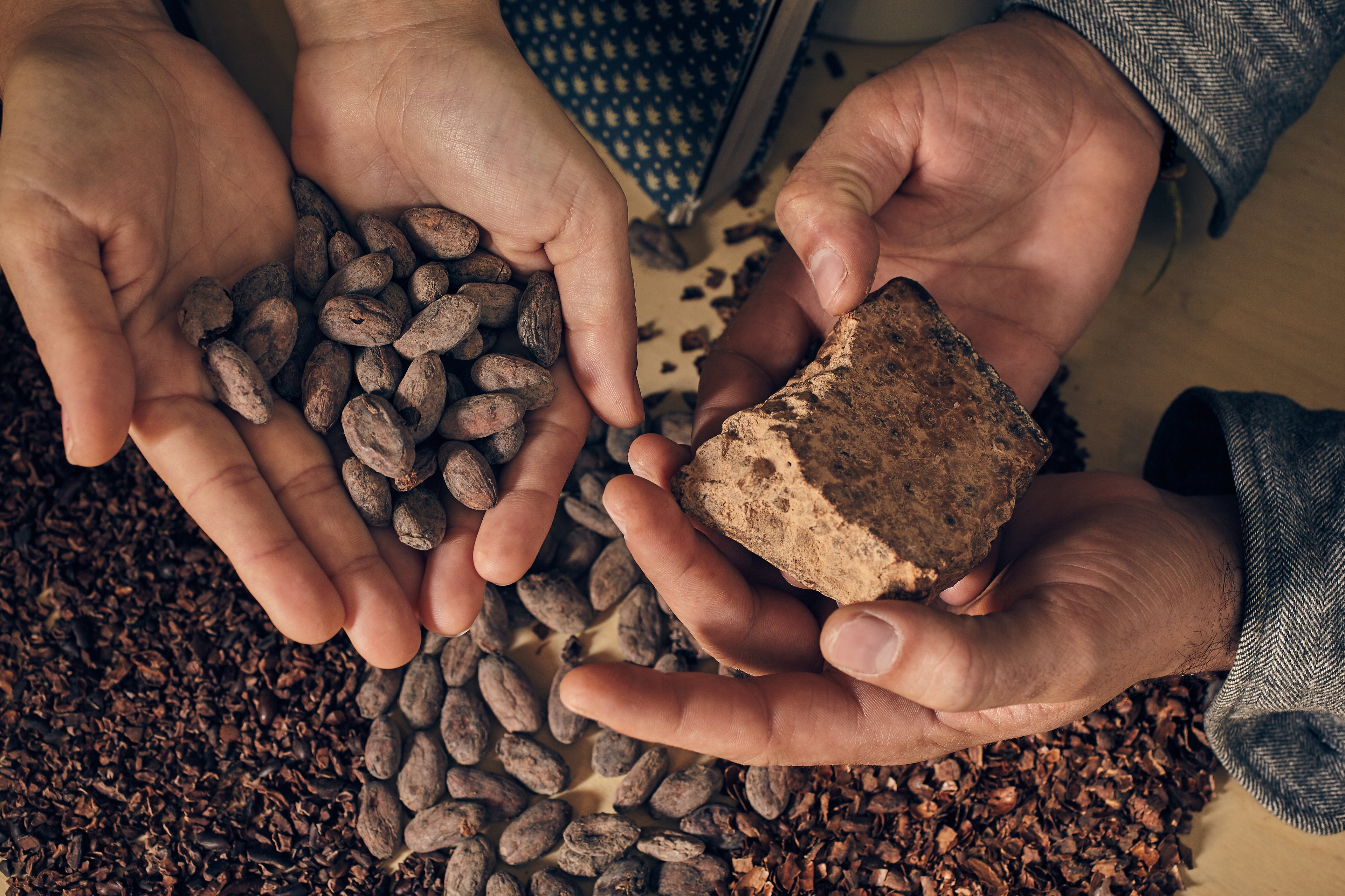 MyChocolate Experiences